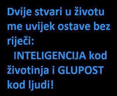 Ovo ostavlja bez riječi!