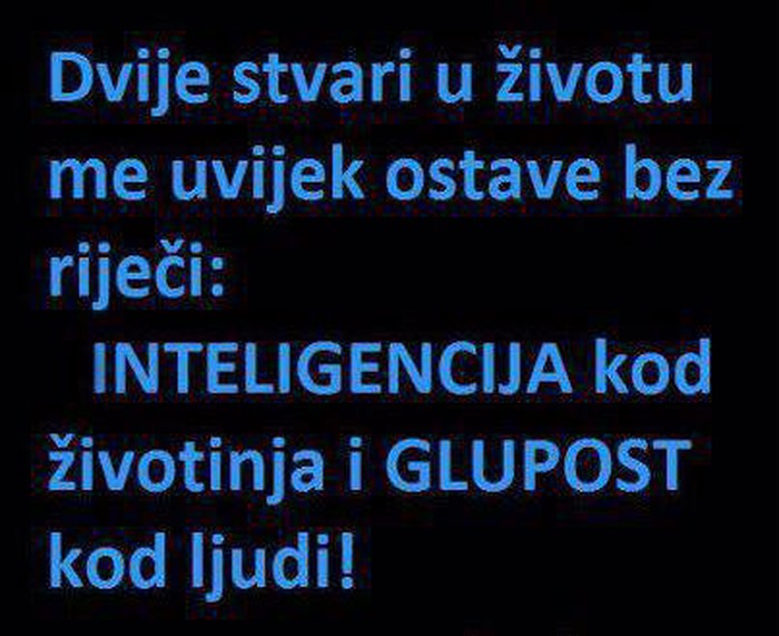 Ovo ostavlja bez riječi!