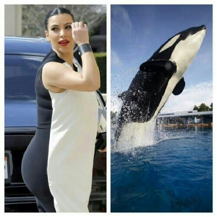 Keeping Up with the Whales!