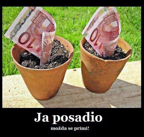 Kad zasadiš pravo sjemenje