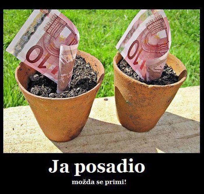 Kad zasadiš pravo sjemenje