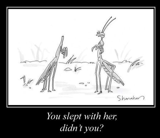 Bogomoljci ne mogu sakriti preljub