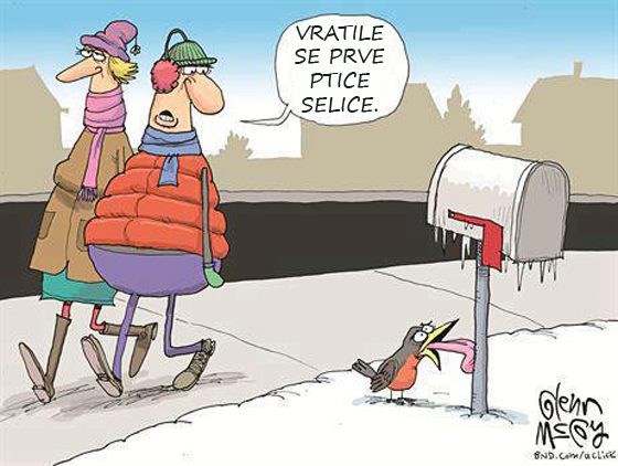 Ptice selice se vratile zbog lažne dojave o proljeću