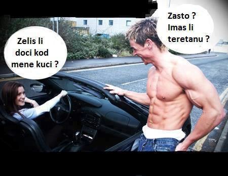 Mišićave macane zanima samo jedna stvar