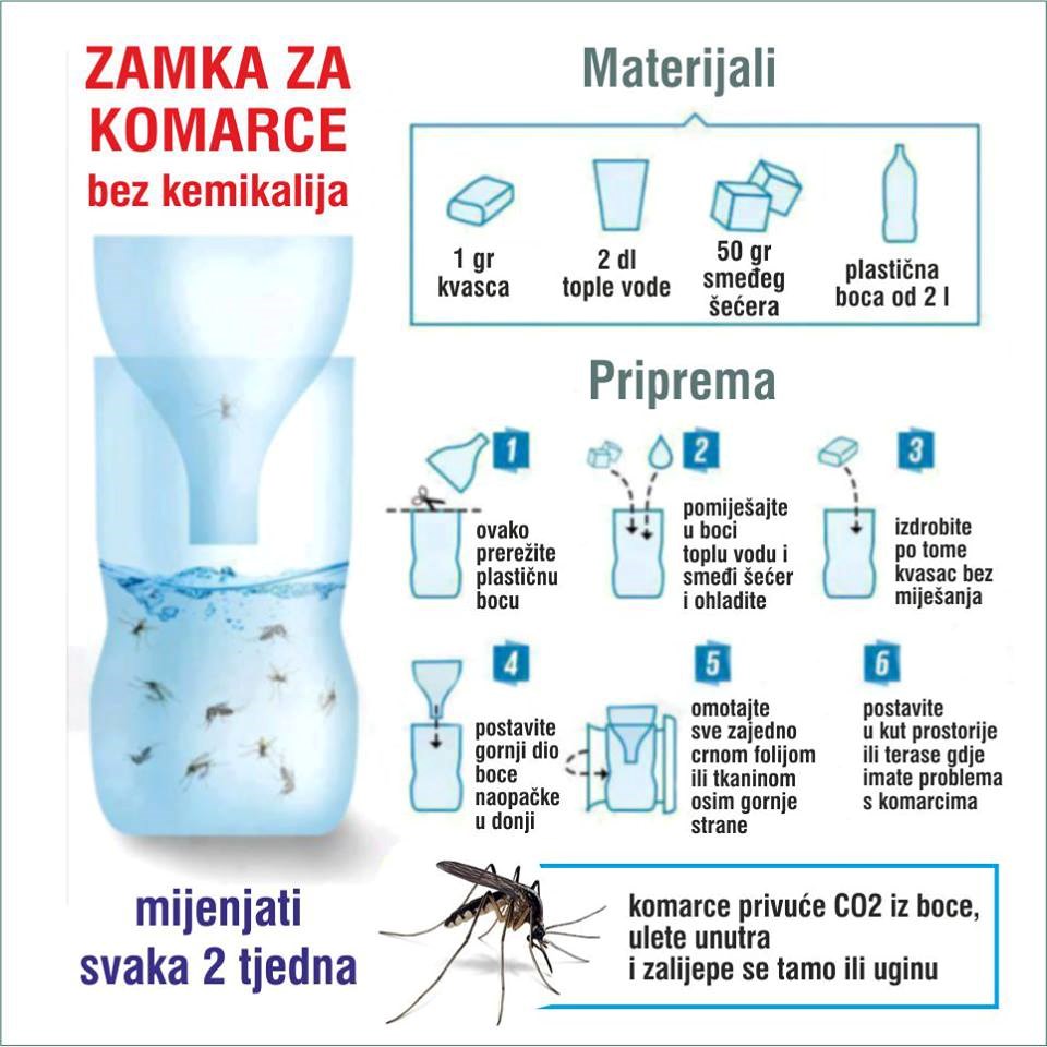 Kako napraviti zamku za krvopije