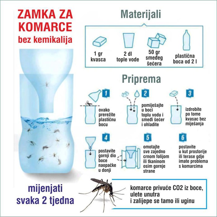 Kako napraviti zamku za krvopije