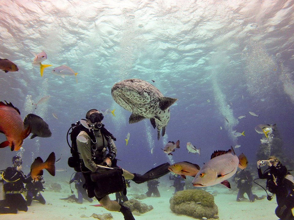 Tko je za ronjenje s "ribicama"