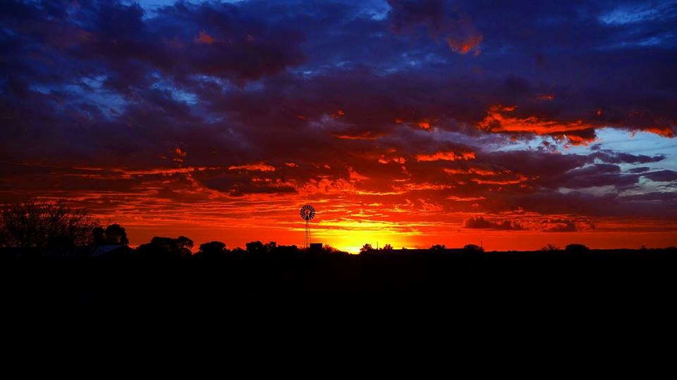 Narančasti australski suton