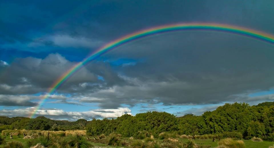 Prebroji klokane ispod duge