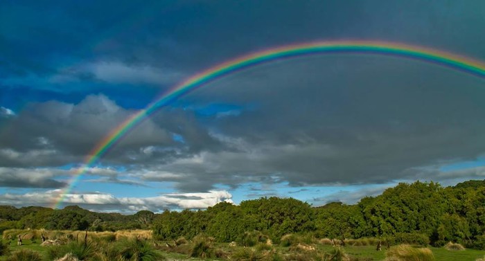 Prebroji klokane ispod duge