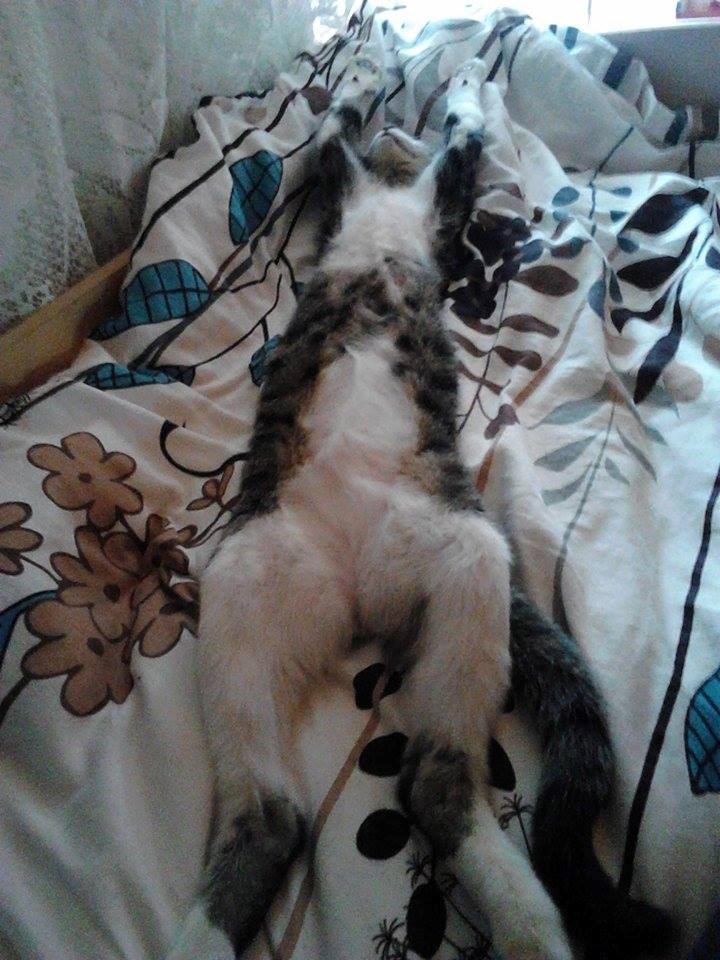 Nakon subotnjeg izlaska :P