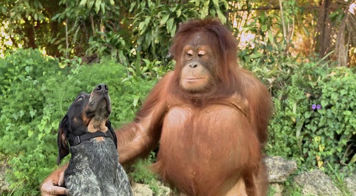  Friends Forever