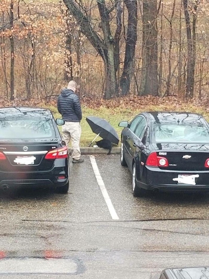 Ovaj tip dao je svoj ručak napuštenoj maci. I kišobran da se ne smoči dok jede