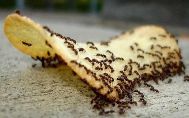 Odjednom sam izgubila tek