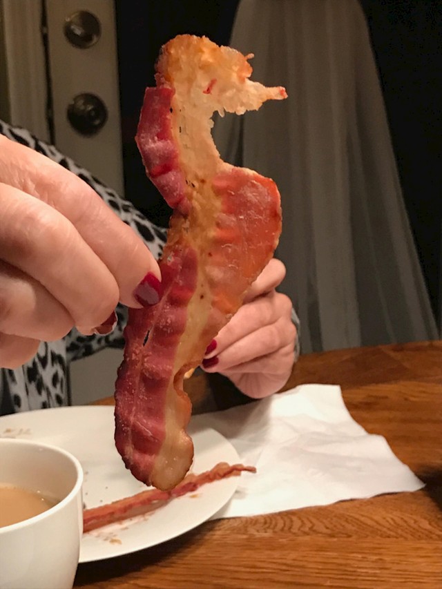 Slanina-morski konjic