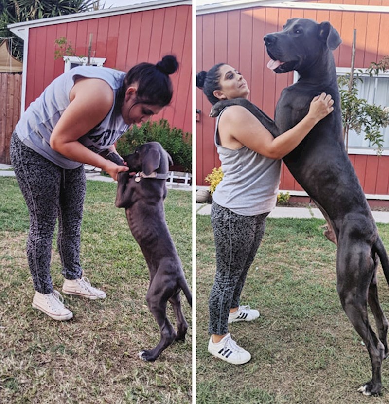 Napunio je godinu dana