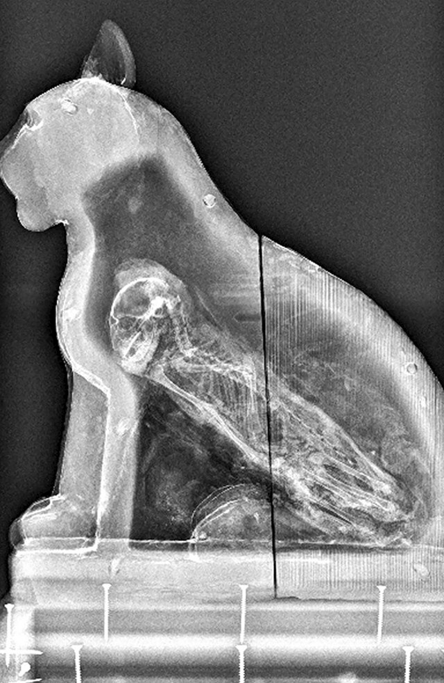 Rendgenska snimka sarkofaga pokazuje da se unutar nalazi kostur mačke