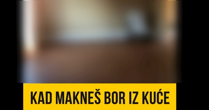 Izgleda da svi imaju isti problem kad maknu bor iz kuće, fotografija je hit na Facebooku