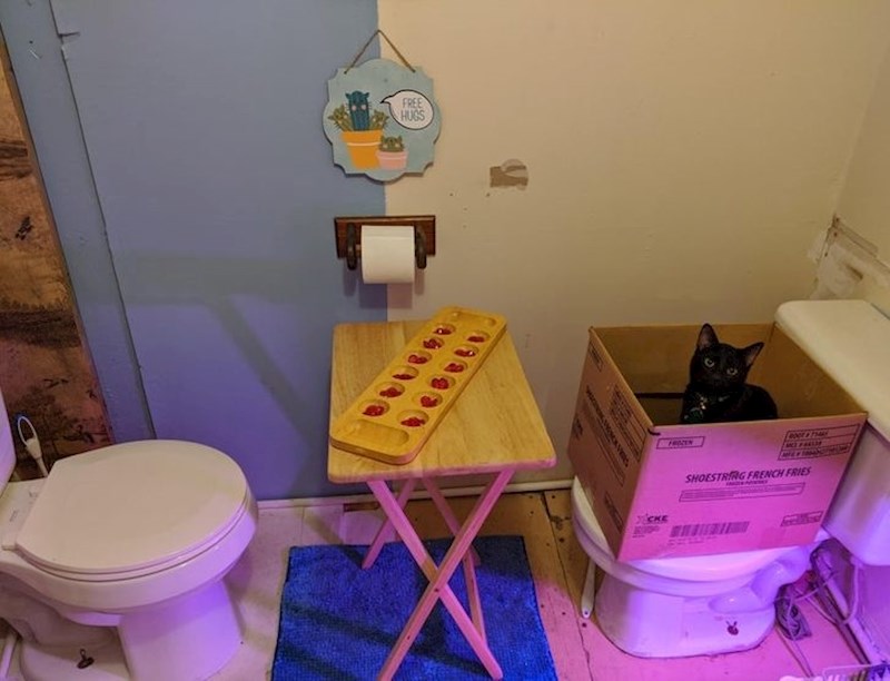 Kuća s dva wc-a koji gledaju jedan u drugog