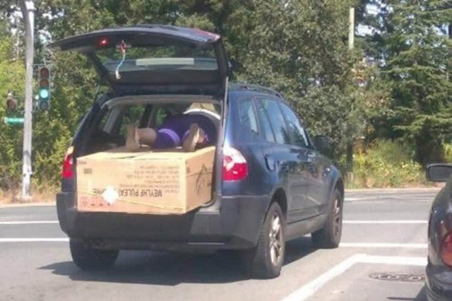 Što bi plaćali dostavu kad ona može ležati na paketu i pridržavati ga