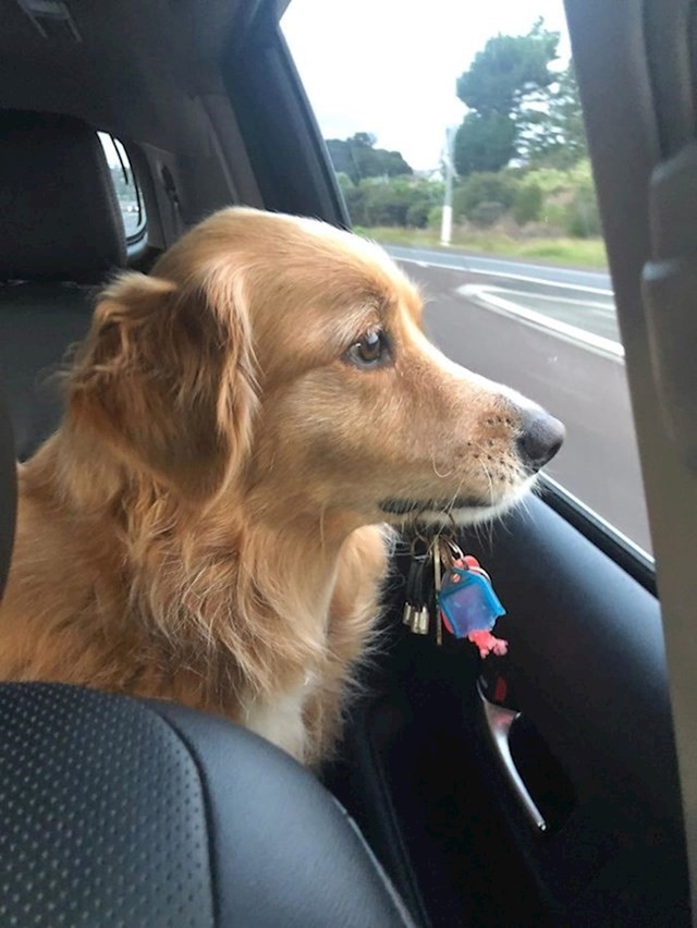 "Ovo je Billie. Nikad nije kužila zašto ja imam ključeve za auto, a ona ne. Napravila sam ključeve za nju i sad ih uzme sa sobom svaki put kad se idemo voziti."