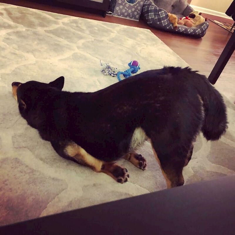 Ispraznila mu se baterija