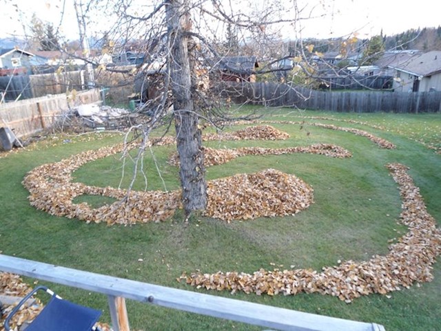 Evo što napraviti s lišćem u dvorištu, zabavu za sve, labirint