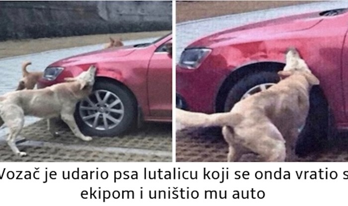 Obožavamo gledati karmu na djelu! Donosimo vam 16 priča u kojima je karma glavni lik