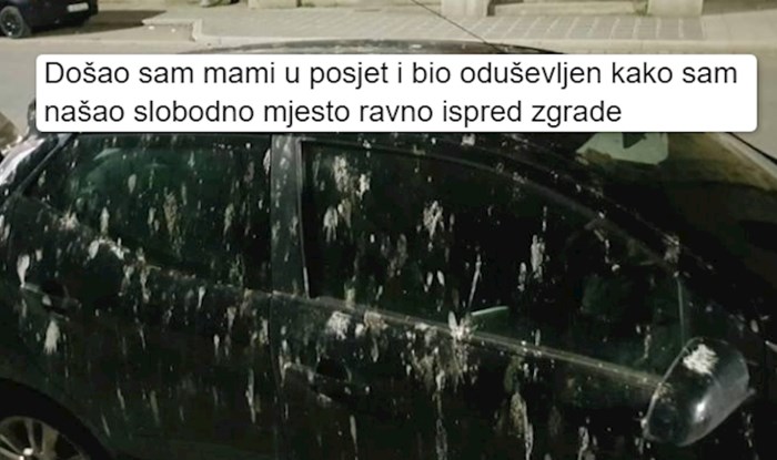 15 ljudi koji su totalno trebali znati što će se dogoditi (i sad im se smije čitav internet)