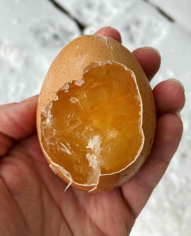 Zaleđeno jaje