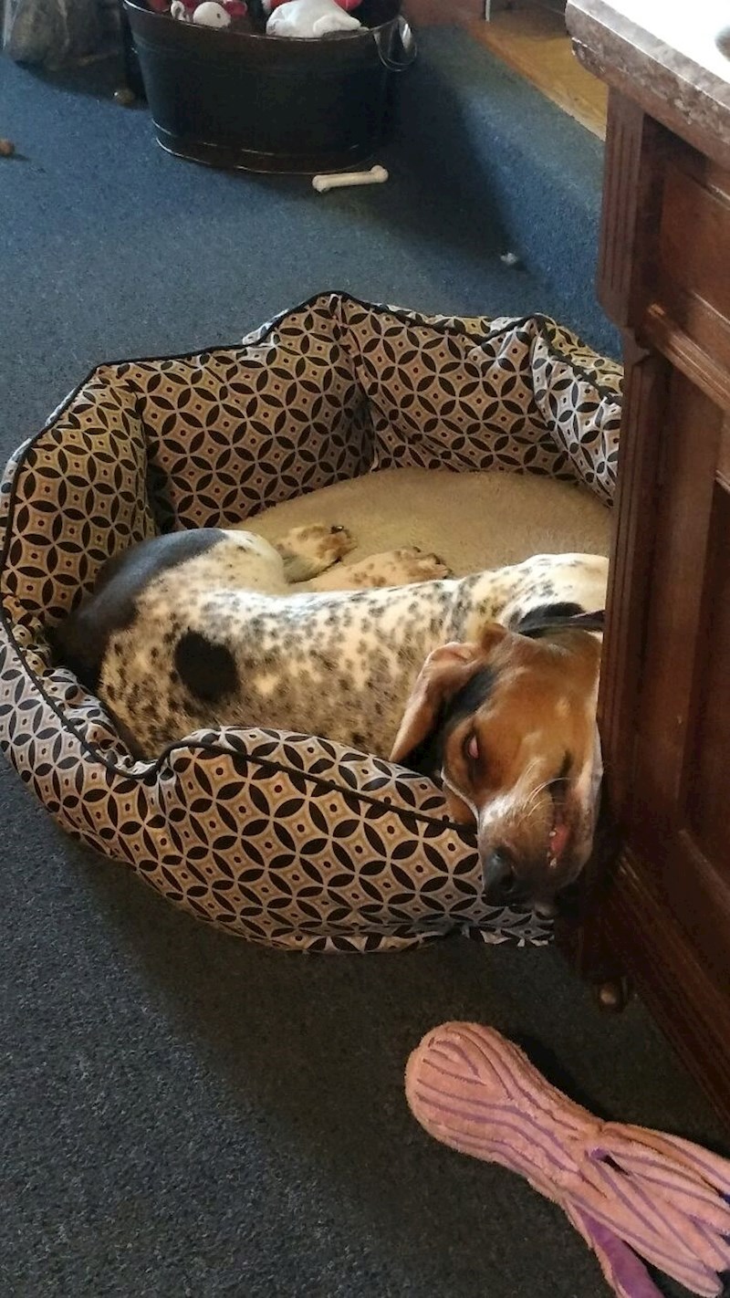 Valjda postoji i udobniji način za spavanje od ovoga?