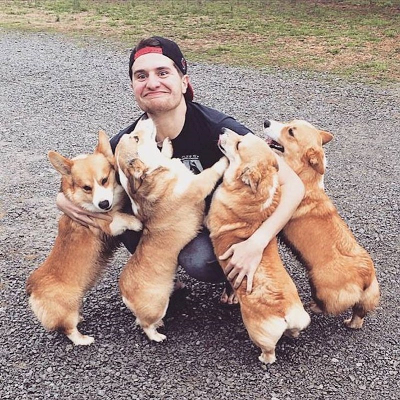 Došli smo odabrati psića, ovako izgleda čista sreća