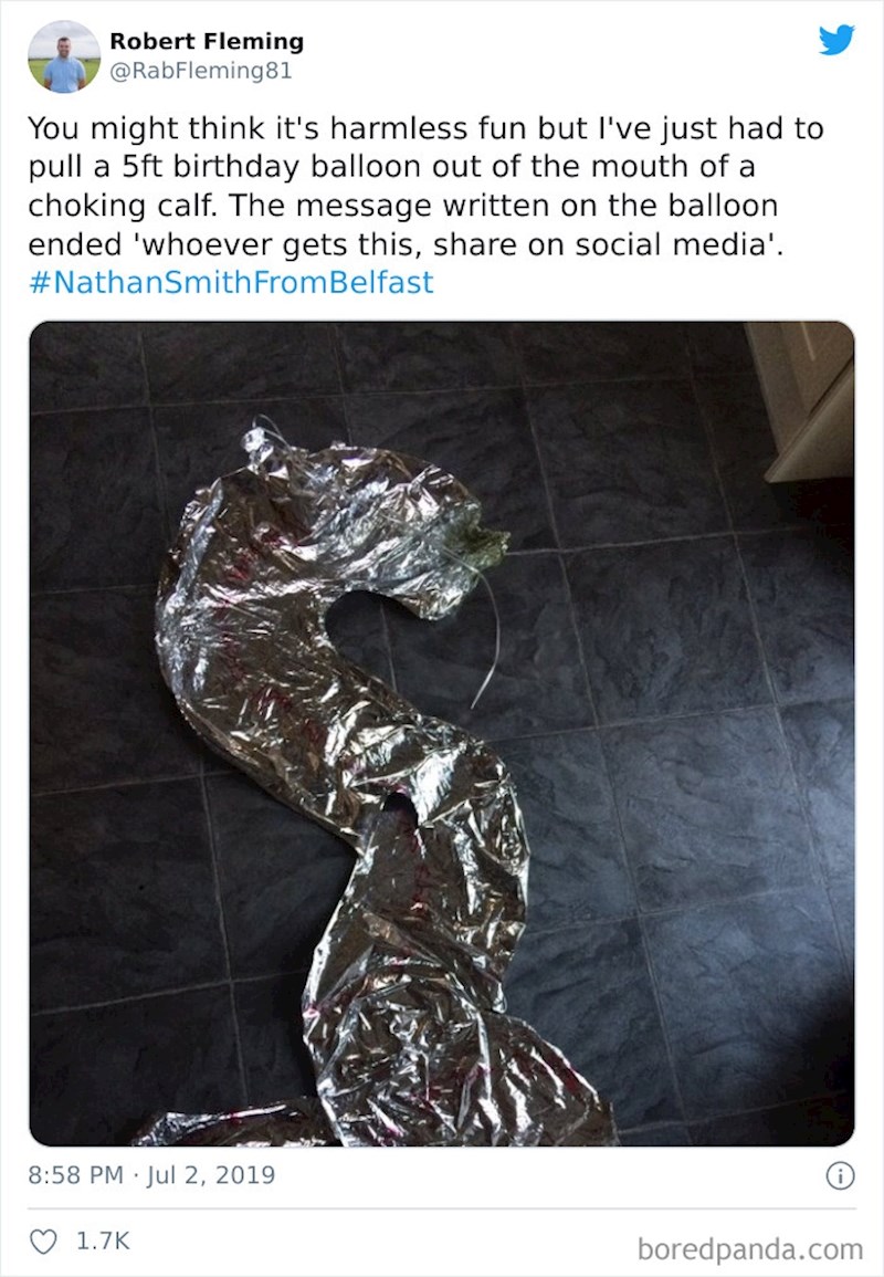 Njegovo ždrijebe gušilo se zbog rođendanskog balona na kojem je pisalo: Tko god ga pronađe neka objavi na društvenim mrežama