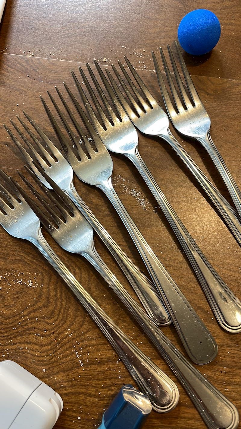 Nestalo nam je vilica u kući, pronašla sam ih u torbi u kojoj nosi ručak na posao