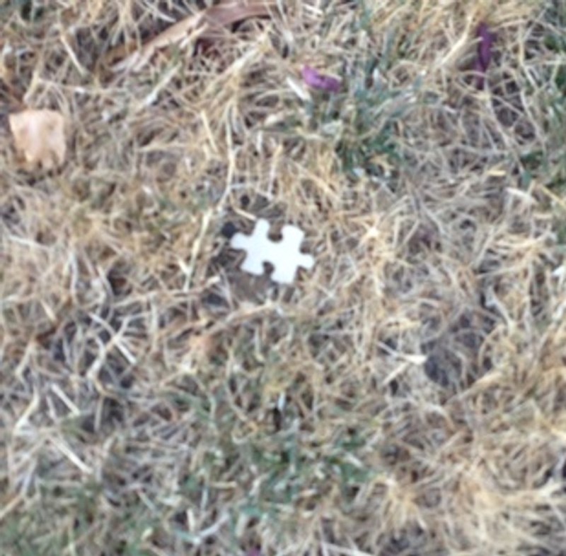 Netko će imati loš dan kad završi sa slaganjem puzzli.