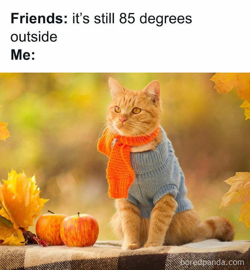 Prijatelji: Vani je 27 stupnjeva. Ja: