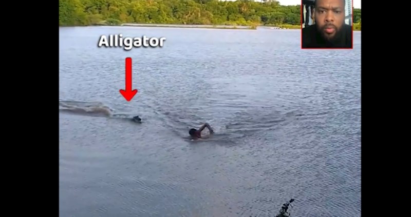 Tip je pokušao plivati brže od aligatora, ovu snimku morate pogledati