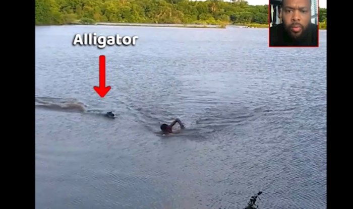 Tip je pokušao plivati brže od aligatora, ovu snimku morate pogledati