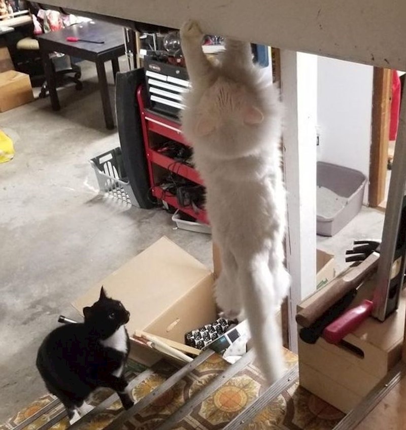 Malo "visi" s ekipom