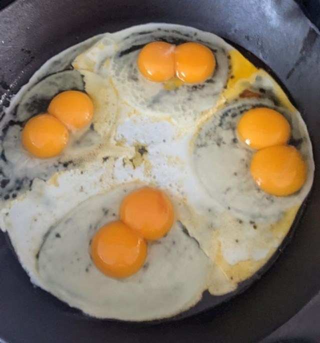 4 jaja zaredom su imala dvostruki žumanjak