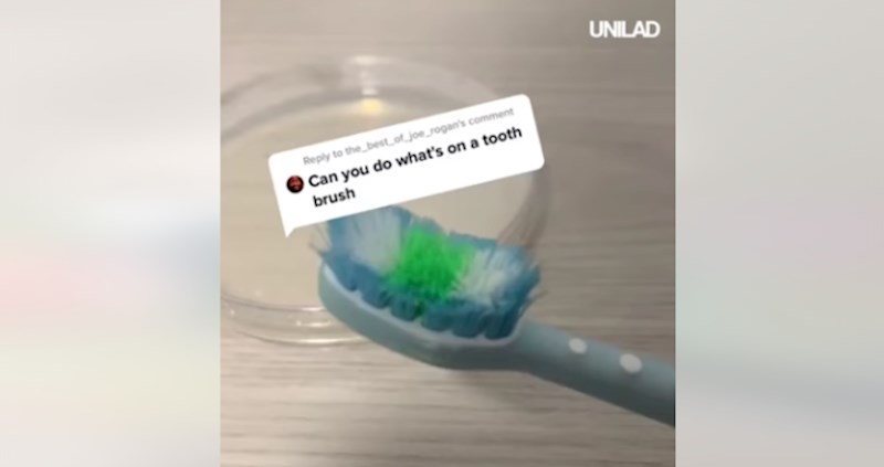 Ovaj tip mikroskopom gleda koliko bakterija ima na predmetima u kućanstvu, šokirat ćete se