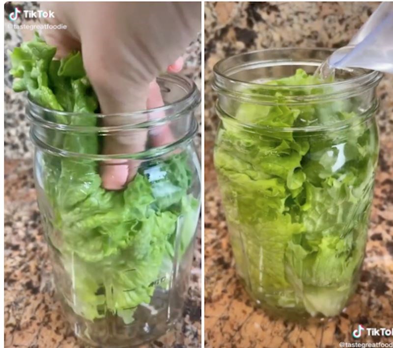 Dakle, fora je u tome da se salata stavi u posudu s vodom i dobro zatvori