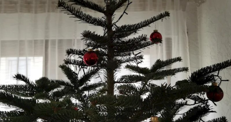 Imoćanin objasnio kako se kod njih kiti bor, jedan detalj je presudan