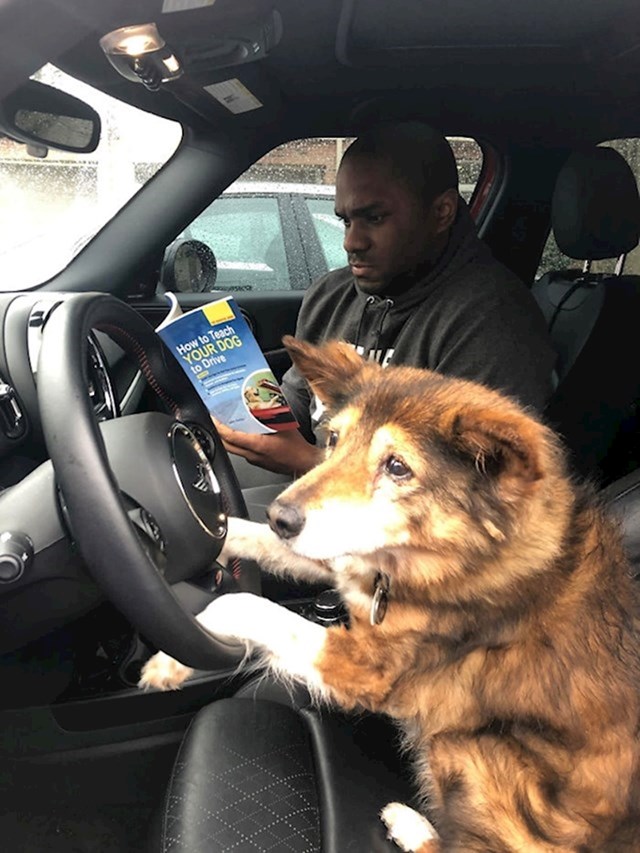 "Moj pas je napunio 16 godina pa mislim da je vrijeme da počne učiti voziti auto."