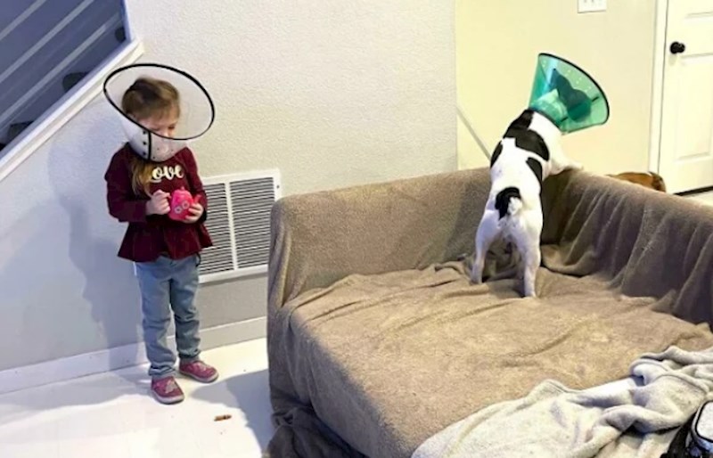 Nije dala mira roditeljima dok i ona nije dobila zaštitu