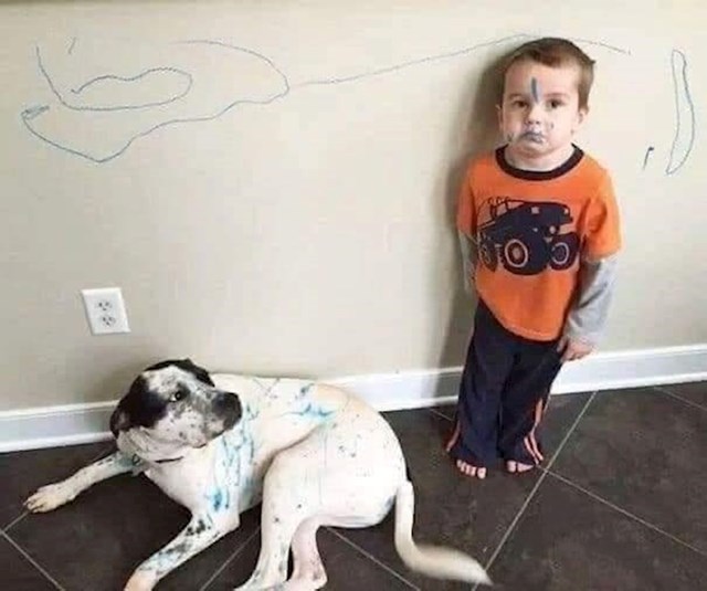 Pas: "Jesam ti rekao da to nije dobra ideja?"