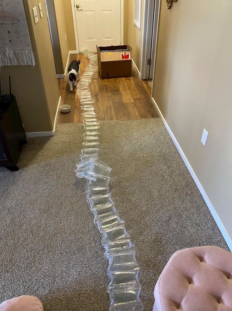 Sve ovo zbog jedne torbice