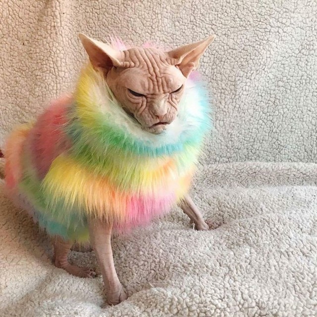Mislim da joj se ne sviđa ovaj outfit