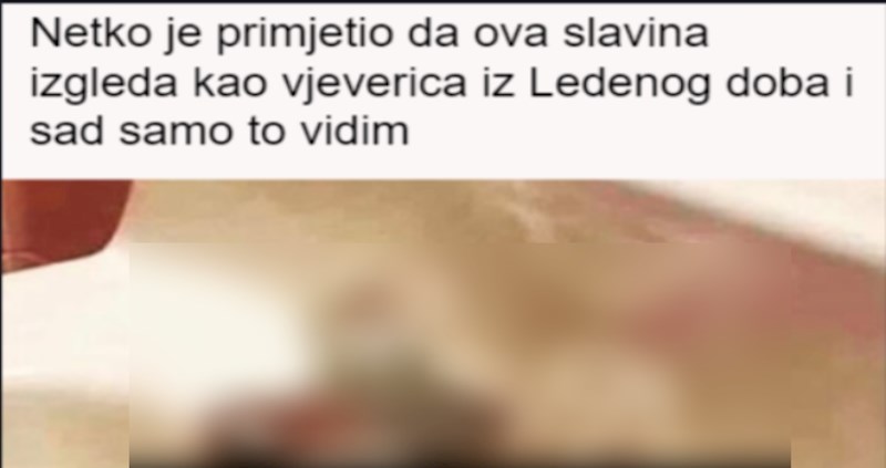 Nećete vjerovati, ali stvarno su iste!