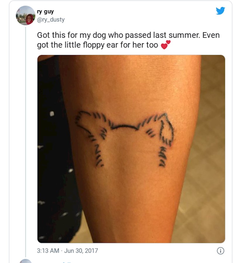 Pas mu je uginuo prošlo ljeto i ovo mu je posveta